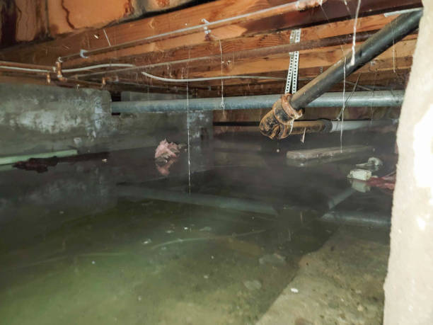 Best Residential water damage restoration  in Astatula, FL
