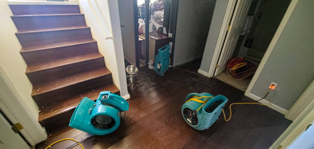 Best Water damage contractors near me  in Astatula, FL