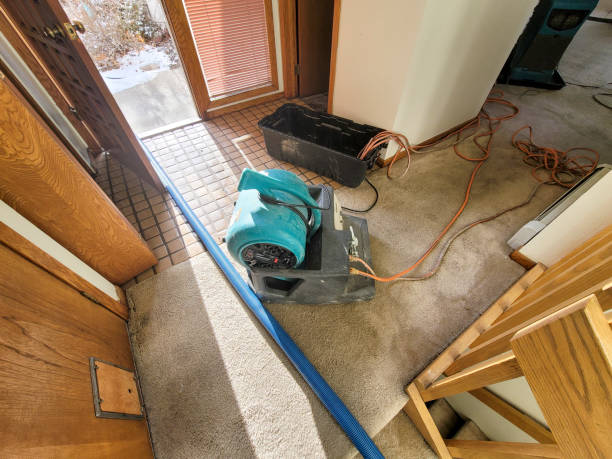 Trusted Astatula, FL Water damage restoration Experts
