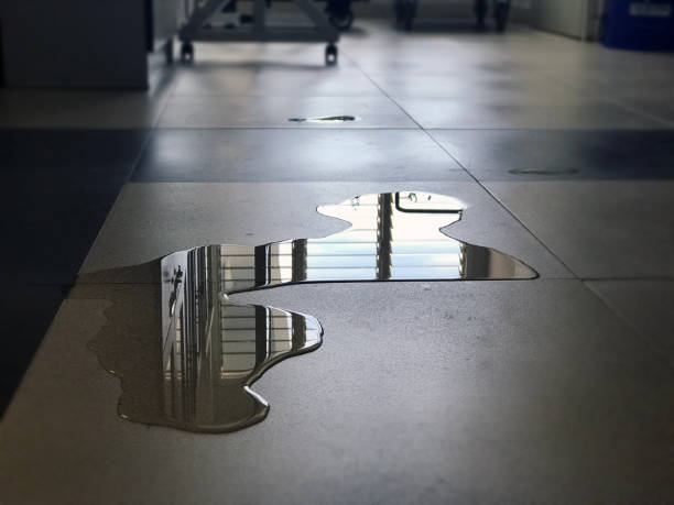 Best 24/7 water damage repair  in Astatula, FL