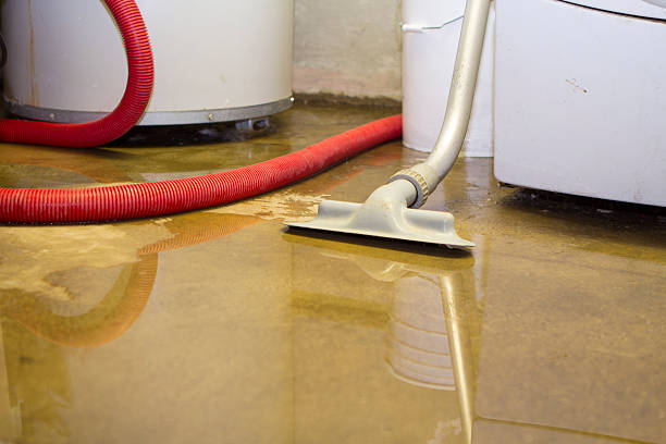 Best Local water damage restoration  in Astatula, FL