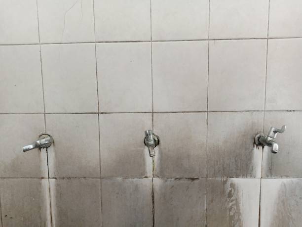 Best Flooded house restoration  in Astatula, FL