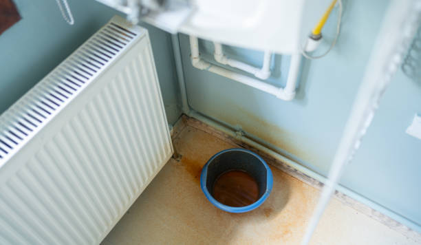 Best Carpet water damage restoration  in Astatula, FL