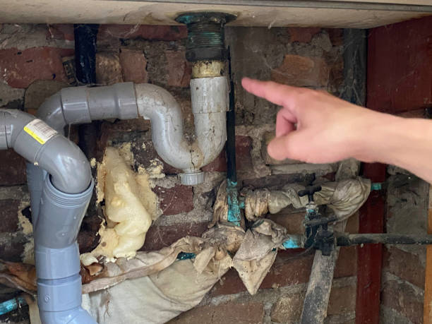 Best Sewage cleanup and water damage restoration  in Astatula, FL